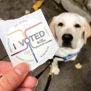 Meet your Posher, Mmasha